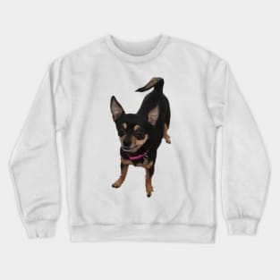 Raku Crewneck Sweatshirt